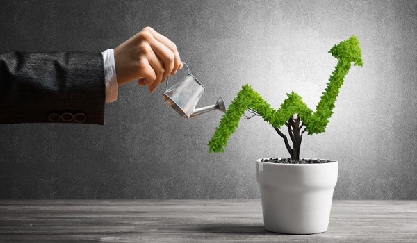 Century Trails Investment